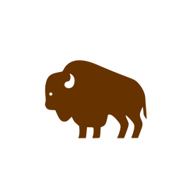 Buffalo Animal Cookie Stencil Set bakeartstencil